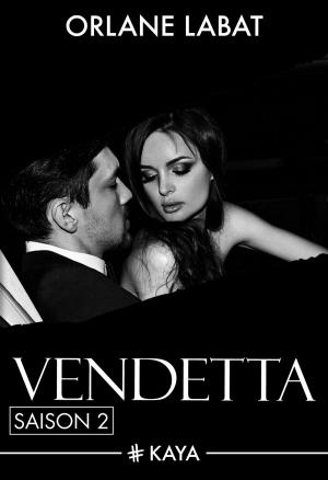 Cover of the book Vendetta - Saison 2 by Sylvia Andrew