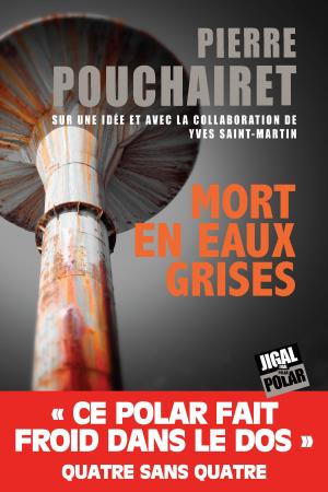 Cover of the book Mort en eaux grises by Janis Otsiemi