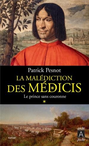 Book cover of Le Prince sans couronne