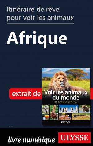 Book cover of Itinéraires de rêve pour voir les animaux - Afrique