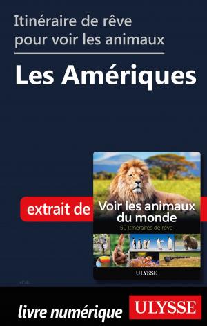 Book cover of Itinéraires de rêve pour voir les animaux - Les Amériques