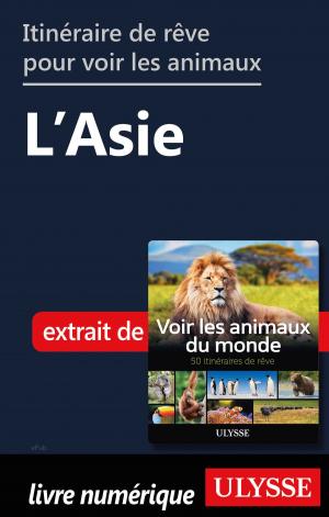 Book cover of Itinéraires de rêve pour voir les animaux - L'Asie
