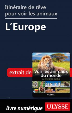 Book cover of Itinéraires de rêve pour voir les animaux - L'Europe