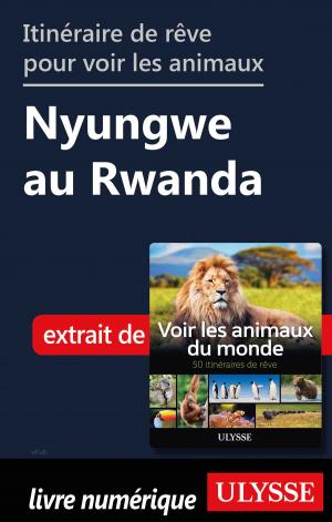 Book cover of Itinéraire de rêve pour voir les animaux Nyungwe au Rwanda