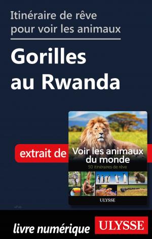 Book cover of Itinéraire de rêve pour voir les animaux Gorilles au Rwanda