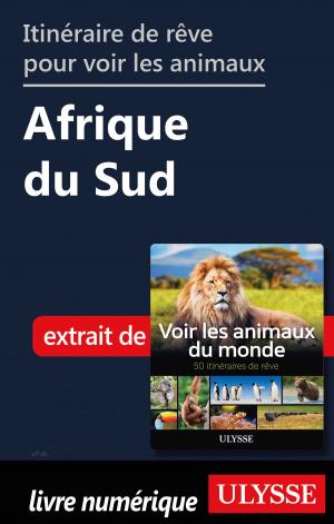 Book cover of Itinéraire de rêve pour voir les animaux - Afrique du Sud