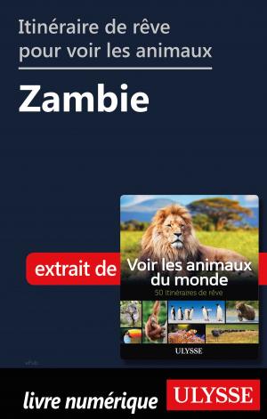 Book cover of Itinéraire de rêve pour voir les animaux - Zambie