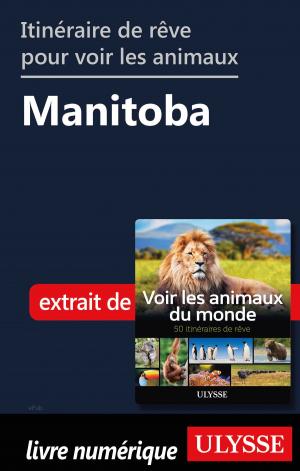 Book cover of Itinéraire de rêve pour voir les animaux - Manitoba