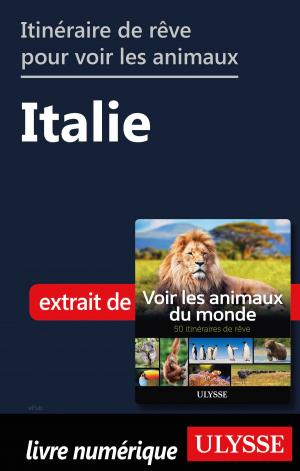 Book cover of Itinéraire de rêve pour voir les animaux - Italie