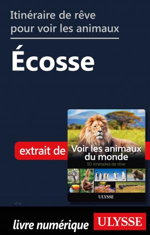 Book cover of Itinéraire de rêve pour voir les animaux - Écosse