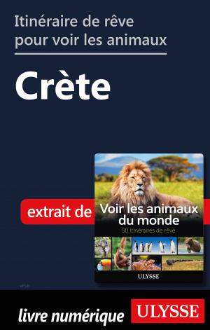 Book cover of Itinéraire de rêve pour voir les animaux - Crète