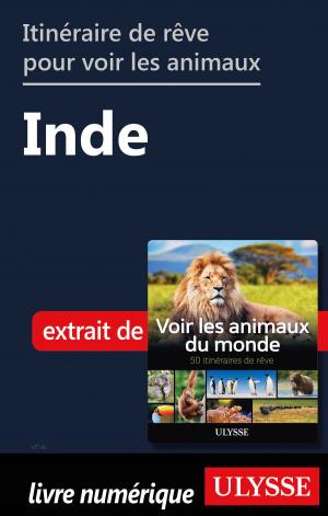 Book cover of Itinéraire de rêve pour voir les animaux - Inde