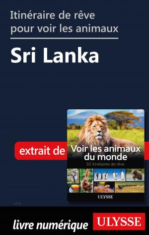 Book cover of Itinéraire de rêve pour voir les animaux - Sri Lanka