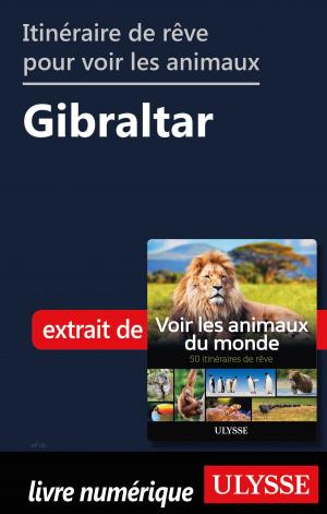 Book cover of Itinéraire de rêve pour voir les animaux - Gibraltar