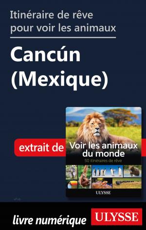 Book cover of Itinéraire de rêve pour voir les animaux - Cancún (Mexique)