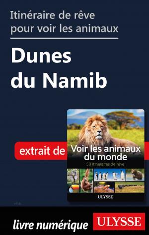 Book cover of Itinéraire de rêve pour voir les animaux - Dunes du Namib