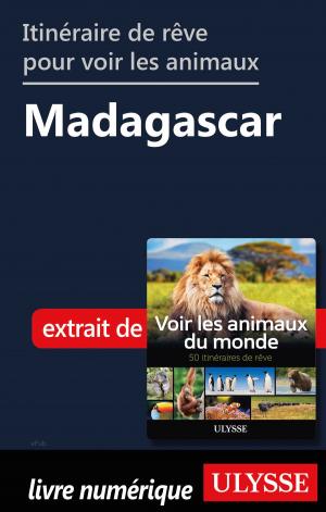 Book cover of Itinéraire de rêve pour voir les animaux - Madagascar