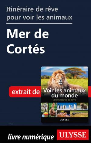 Book cover of Itinéraire de rêve pour voir les animaux - Mer de Cortés