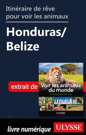 Cover of the book Itinéraire de rêve pour voir les animaux - Honduras/Belize by Collectif Ulysse