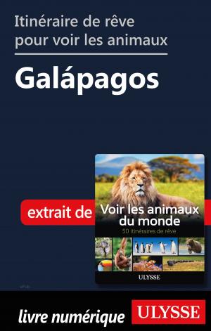 Cover of the book Itinéraire de rêve pour voir les animaux - Galápagos by Marie-Eve Blanchard