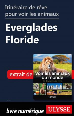 Book cover of Itinéraire de rêve pour voir les animaux Everglades Floride