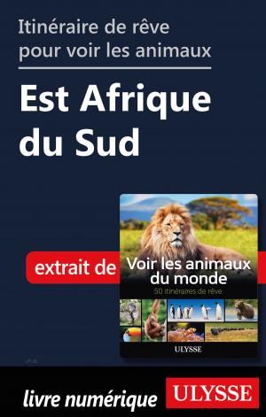Cover of the book Itinéraire de rêve pour voir les animaux Est Afrique du Sud by Yves Séguin