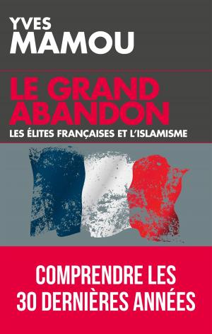 Cover of Le grand abandon
