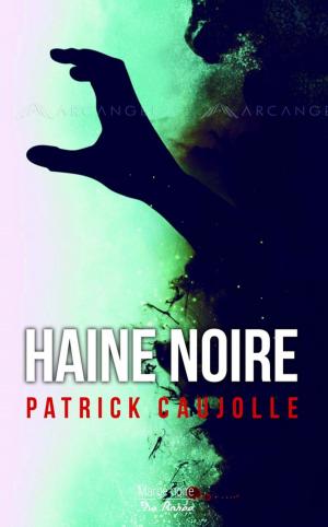 Cover of the book Haine noire by Stéphanie Exbrayat