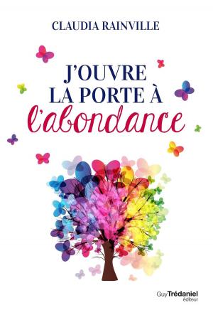 Cover of the book J'ouvre la porte à l'abondance by Olivier Chambon