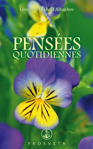 Cover of the book Pensées Quotidiennes 2019 by Matthew Fox