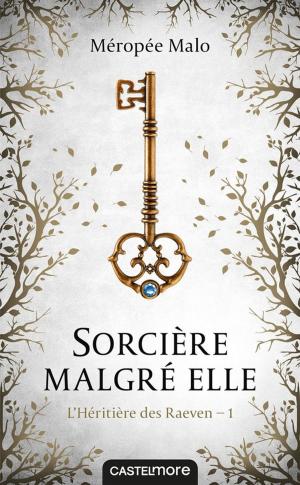 Cover of the book Sorcière malgré elle by Lise Syven