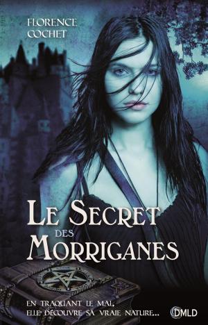 Book cover of Le secret des Morriganes
