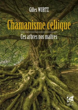 Cover of the book Chamanisme celtique by Sylvain Gillier-Imbs