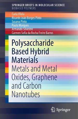 Cover of the book Polysaccharide Based Hybrid Materials by Martin Kaschny, Matthias Nolden