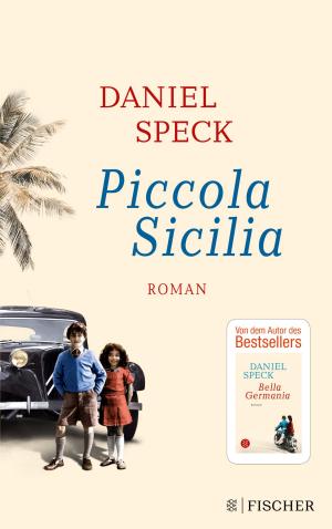 Cover of the book Piccola Sicilia by Günter de Bruyn