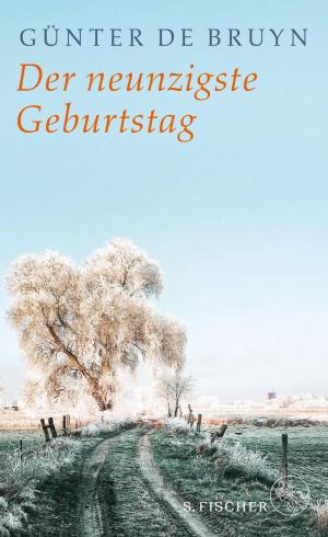 Cover of the book Der neunzigste Geburtstag by Cornelia Vismann