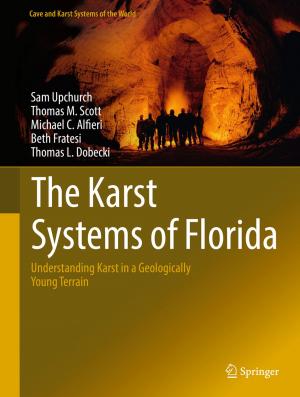 Cover of the book The Karst Systems of Florida by Mateja Durovic, Hans W. Micklitz