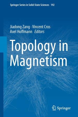 Cover of the book Topology in Magnetism by Nicolas Alonso-Vante