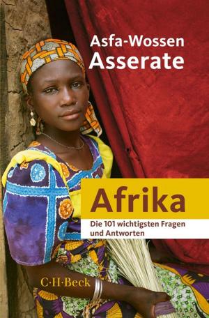 Book cover of Die 101 wichtigsten Fragen und Antworten - Afrika