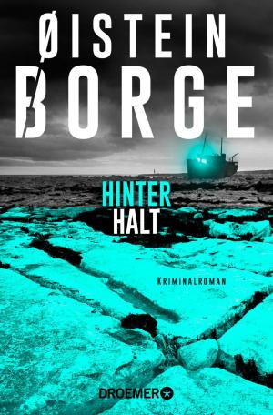 Cover of the book Hinterhalt by Volker Klüpfel, Michael Kobr