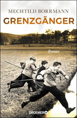 Cover of the book Grenzgänger by Wigbert Löer, Oliver Schröm