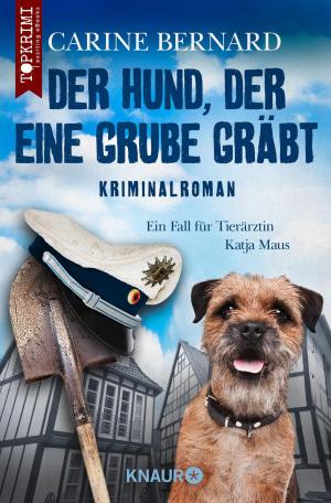 Cover of the book Der Hund, der eine Grube gräbt by Andreas Franz
