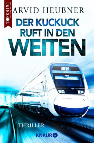 Cover of the book Der Kuckuck ruft in den Weiten by Andreas Franz
