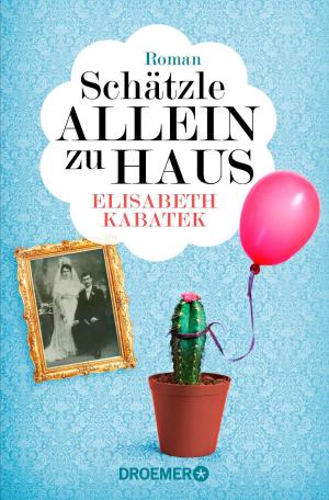 Cover of the book Schätzle allein zu Haus by C. Bernd Sucher