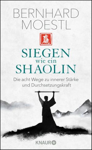 Cover of the book Siegen wie ein Shaolin by Andreas Franz