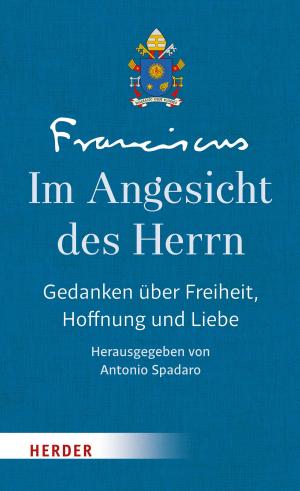 Cover of the book Im Angesicht des Herrn by Anselm Grün