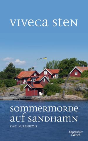 Cover of the book Sommermorde auf Sandhamn by Götz W. Werner, Enrik Lauer
