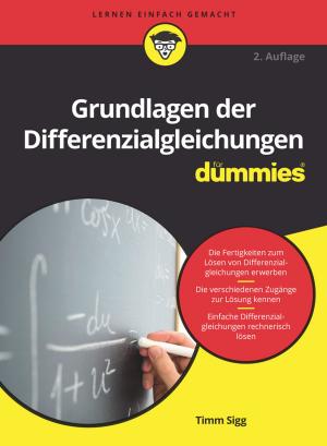 Cover of the book Grundlagen der Differenzialgleichungen für Dummies by 