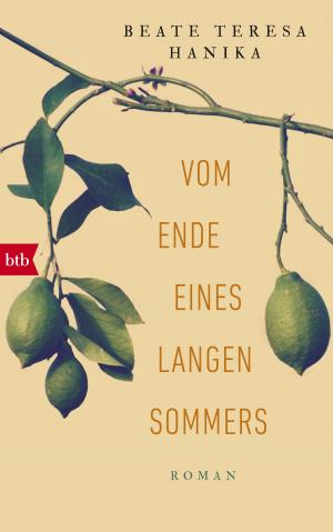 Cover of the book Vom Ende eines langen Sommers by Linn Ullmann