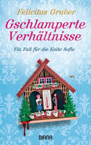 Cover of the book Gschlamperte Verhältnisse by Brigitte Riebe